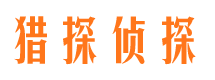 带岭侦探公司